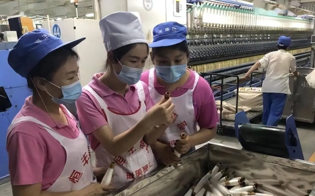 夏天工作服女装 选对不闷还好看